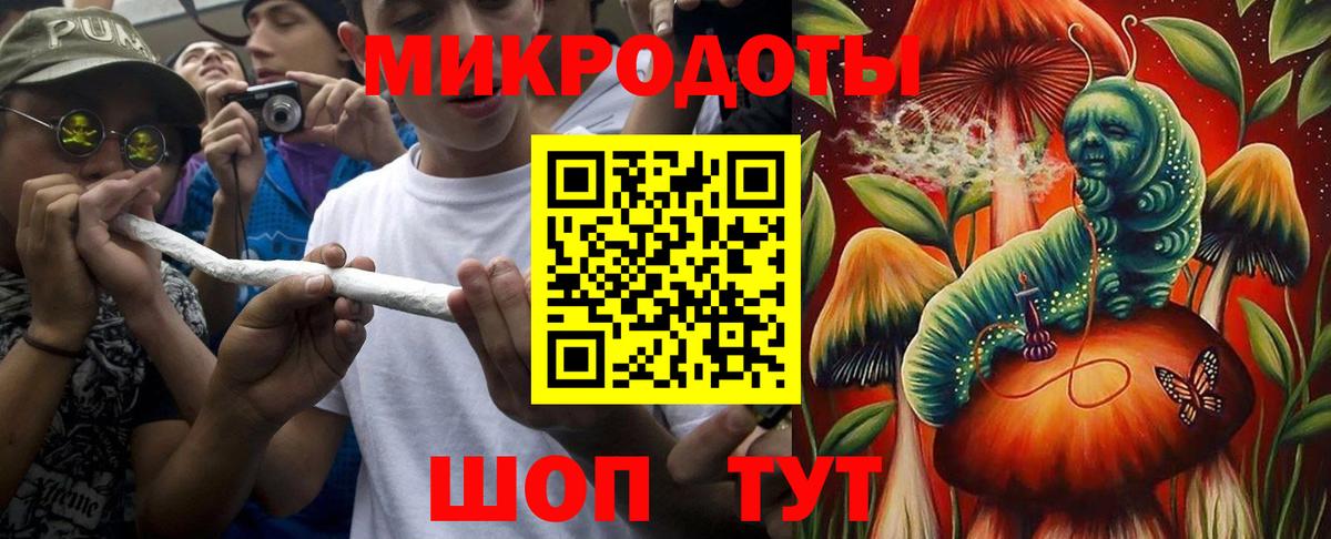 Грозный  Псилоцибиновые грибы Psilocybine cubensis  Вход с VPN  Псилоцибиновые грибы MAGIC MUSHROOMS 
