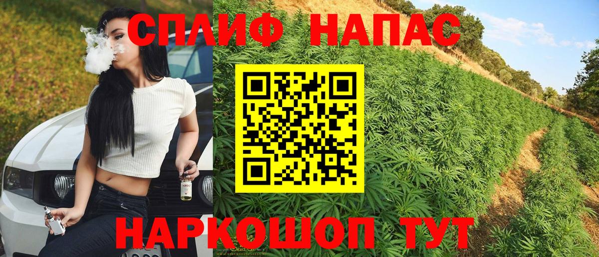 Конопля марихуана  Бошки Шишки тримм  Канабис ГИДРОПОН  Вход с VPN  Грозный  Конопля VHQ 
