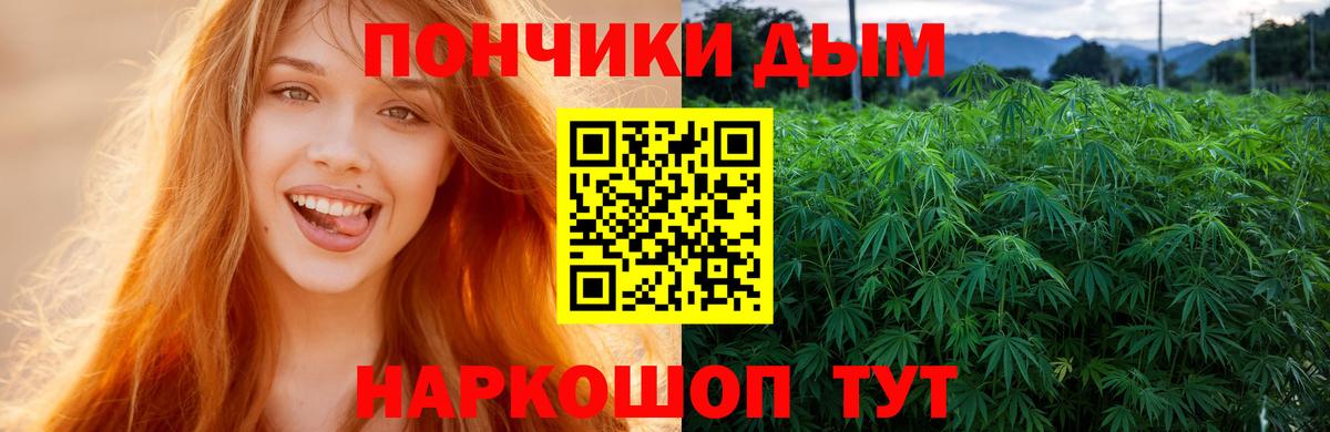 Шишки марихуана семена Грозный